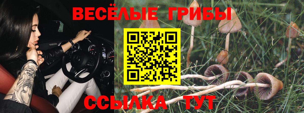 Галлюциногенные грибы GOLDEN TEACHER  Вход с VPN  Люберцы  что такое   Галлюциногенные грибы Cubensis 